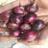 Suresh