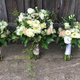 Floraldreams Vine