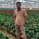 ANWAR