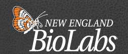 New England Biolabs