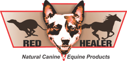 Red Healer
