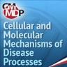 International Conference On, Cellular And Molecular Mechanisms Of Disease Processesimg