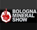 Bologna Mineral Show