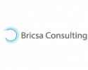 Bricsa Consulting Pvt. Ltd.