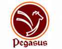 Pegasus Consultancy Private Limited