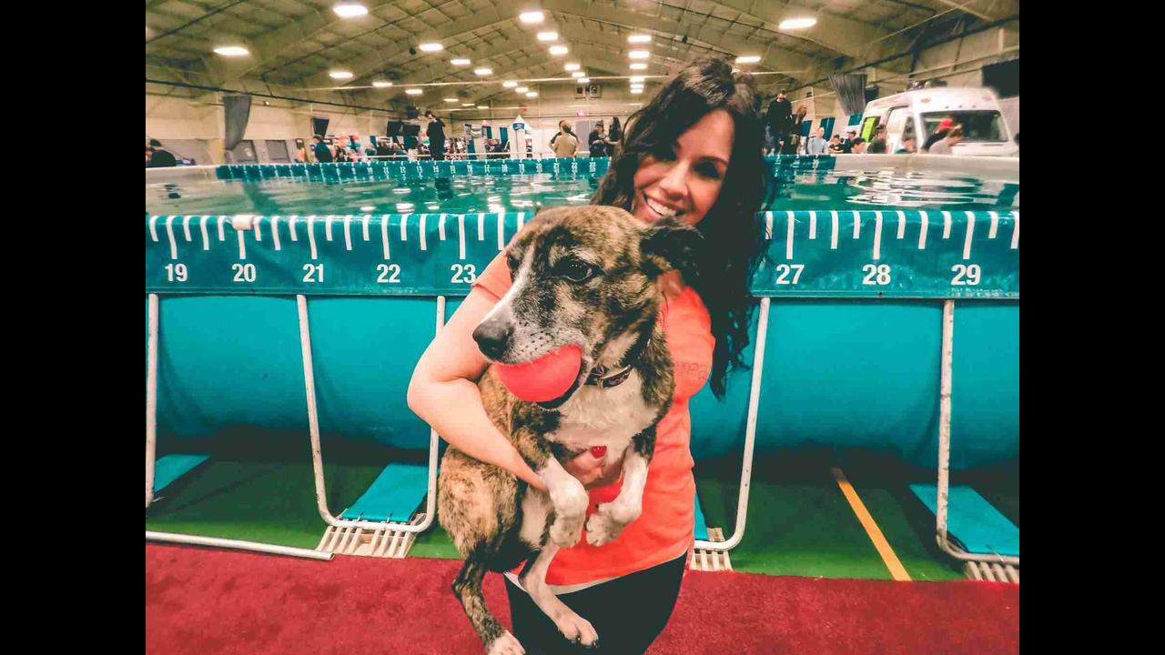 VPE (May 2023), Victoria Pet Expo, Victoria Canada Trade Show