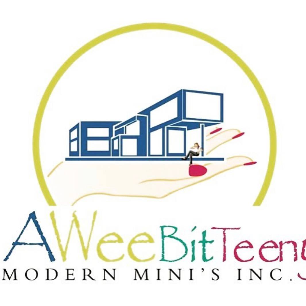 A WeeBitTeeny Modern Mini’s