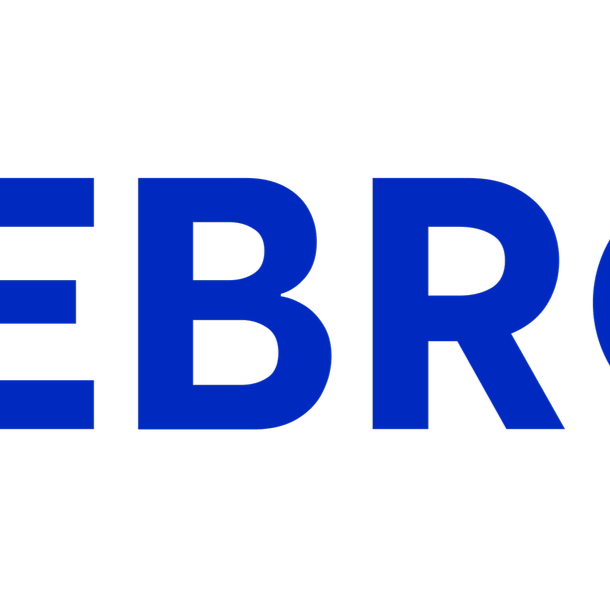 Fivebros