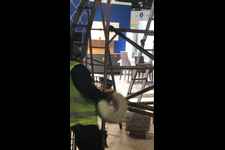 INDEX (May 2025), INDEX Dubai, Dubai UAE - Trade Show