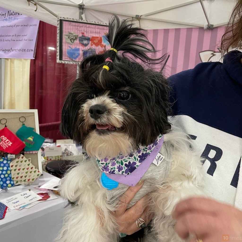 Philly Pet Expo (Mar 2024), Greater Philadelphia Pet Expo, Oaks USA