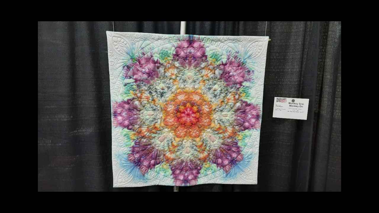 Original Sewing & Quilt Expo (Nov 2024), Novi USA Trade Show