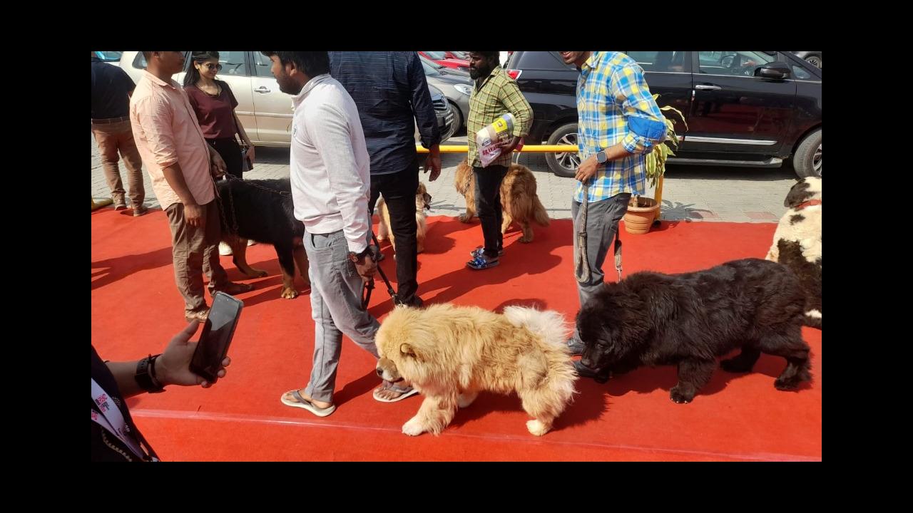 PETEX India (Dec 2023), Hyderabad India Trade Show