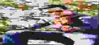 The Annual Tennessee Valley Old Time Fiddlers Convention_bg