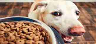 Food & Bever...