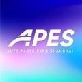 APES Auto Parts Expo Shanghai