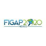 FIGAP Mexico