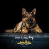 Working Dog Training Conference & Trade Showimg