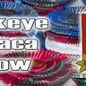 Buckeye Spring Alpaca Showimg