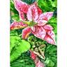 Learn to Paint a Poinsettia with Alcohol Ink and an Aquash Brushimg