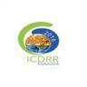 International Conference on Disaster Risk Reductionimg