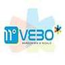 Vebo Fairimg