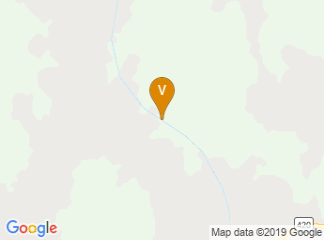google-map