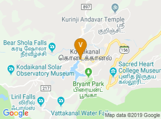 google-map