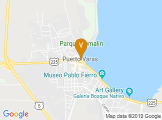 google-map