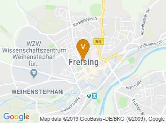 google-map
