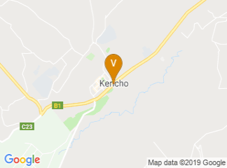google-map