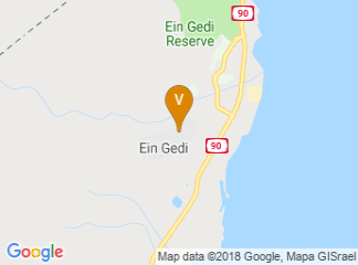 map of Ein Gedi Hotel