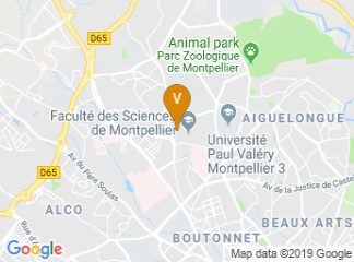 map of IAE Montpellier