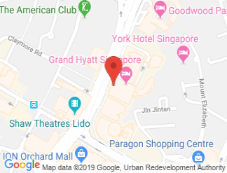 map of Grand Hyatt Singapore