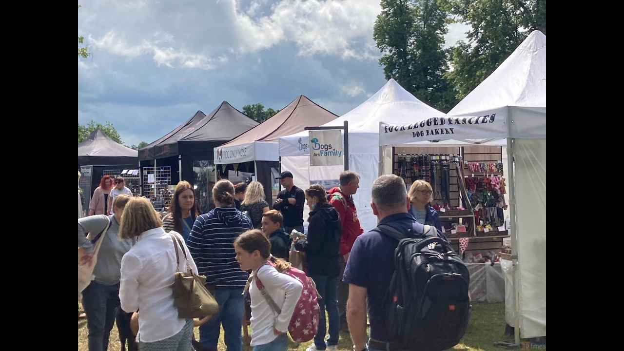 All About Dogs Newbury (Apr 2024), Reading UK Trade Show