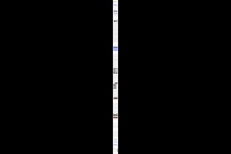 User Posted Media