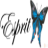 Espritimg