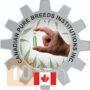 Canadian Pure Breeds Institutions International Congress & Expoimg