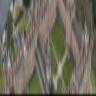 ACM Symposium on Principles of Distributed Computingimg