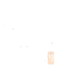 Shot Fair Brazilimg