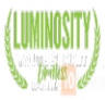 Luminosity Youth Summitimg