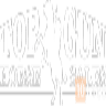 Annual Top Gun Horse Saleimg