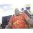 Boney David Umeh