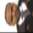 Jay