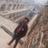 Piyush | International Travel : Delhi South | Bagga