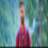 garryvirk023