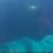 abc