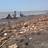 cleanup kib3