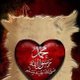 youcef