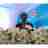 MD SAIFUL ALAM