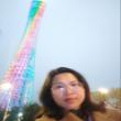 User Profile
